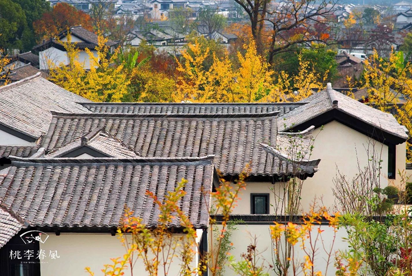 首页- 尊龙集团中国官网入口