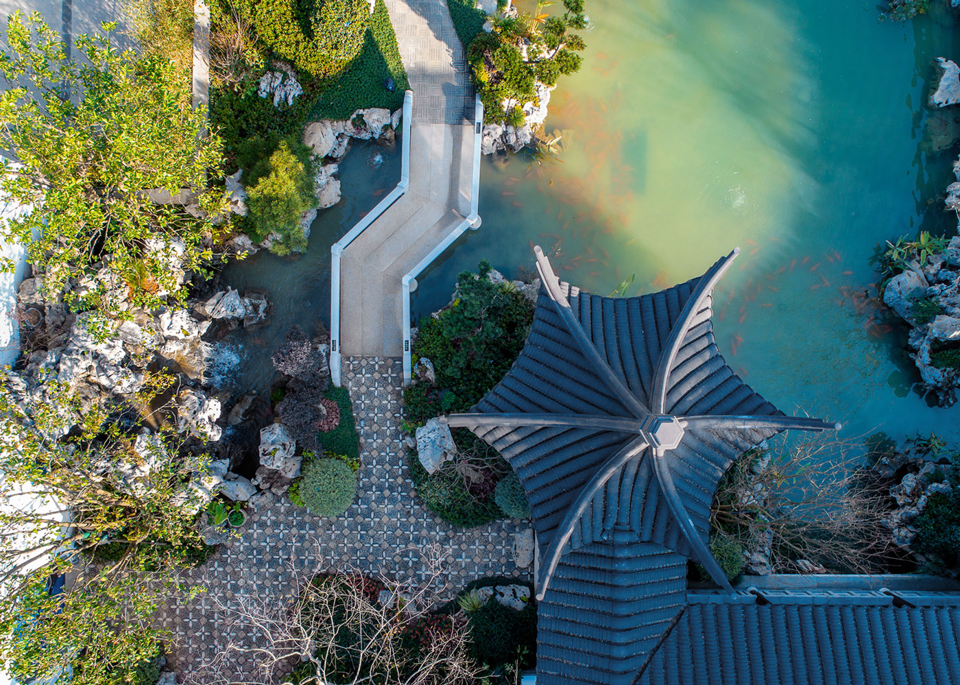 首页- 尊龙集团中国官网入口